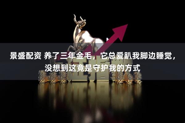 景盛配资 养了三年金毛，它总爱趴我脚边睡觉，没想到这竟是守护我的方式