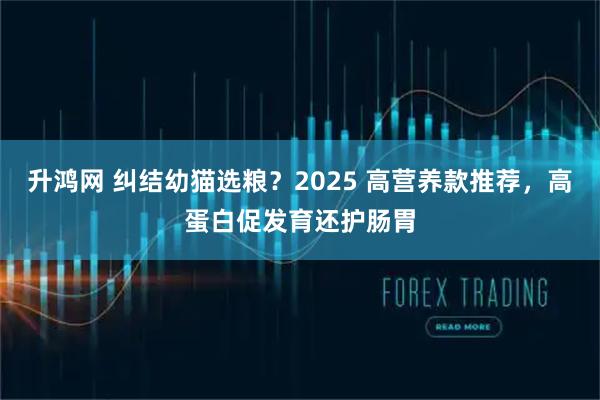 升鸿网 纠结幼猫选粮？2025 高营养款推荐，高蛋白促发育还护肠胃