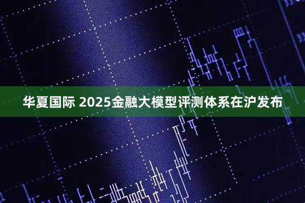 华夏国际 2025金融大模型评测体系在沪发布